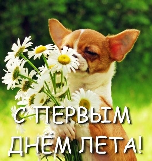 час земли